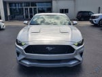 2019 Ford Mustang GT Premium Fastback