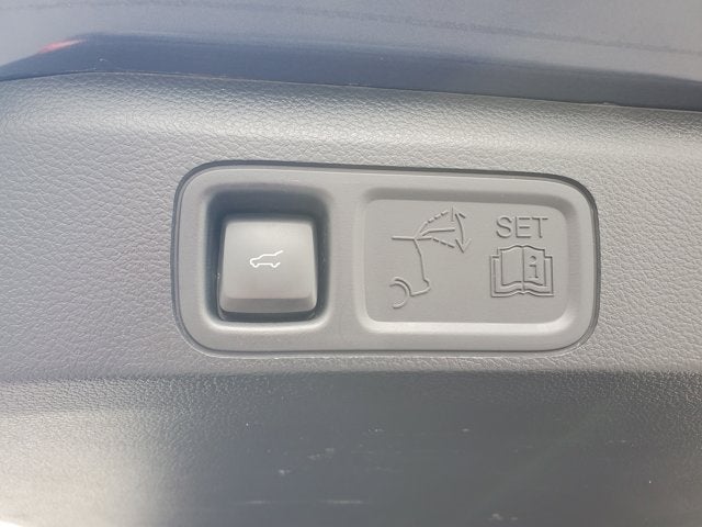 2023 Ford Expedition XLT 4x2