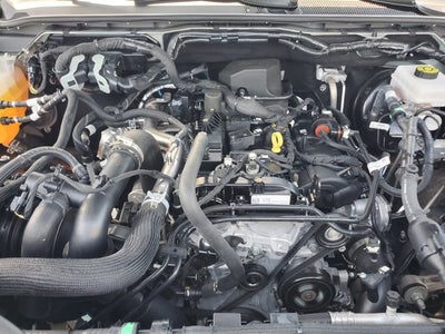 2024 Ford Ranger XLT 2WD SuperCrew 5' Box