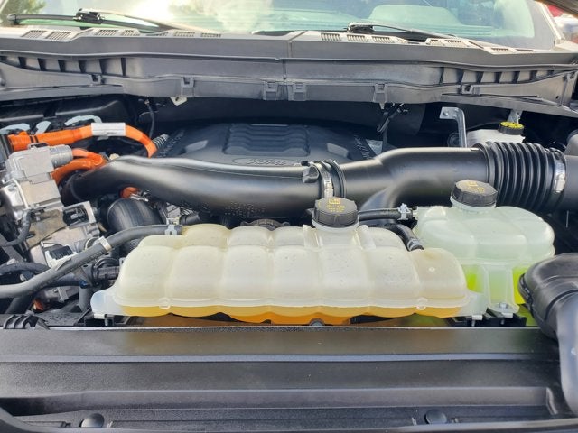 2023 Ford F-150 Platinum 4WD SuperCrew 5.5' Box